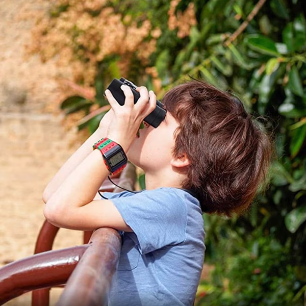 The Pocket-Sized Observatory
