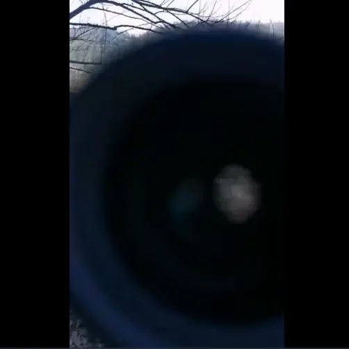 Eagle Eye Binoculars - supporting image